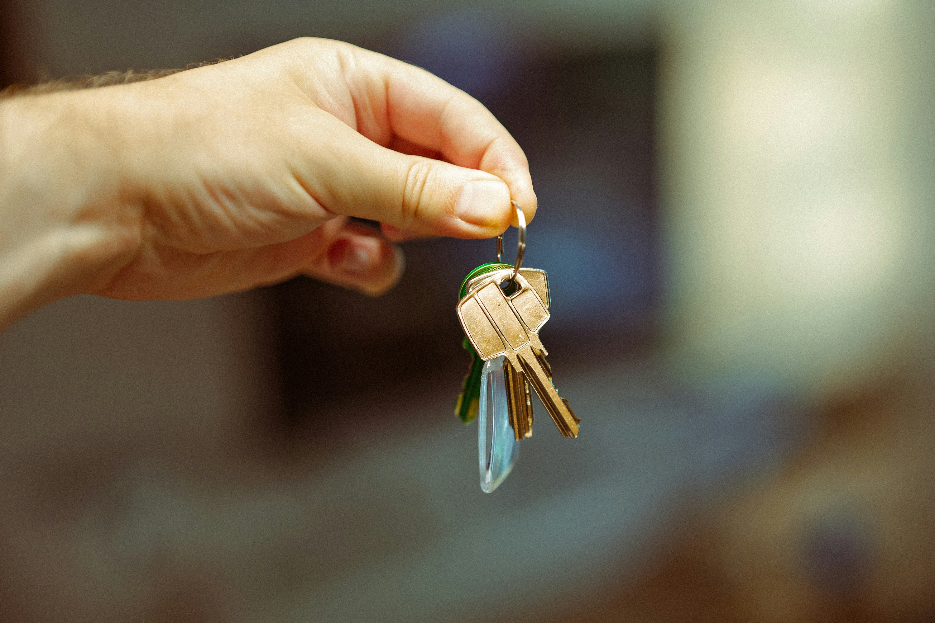 10 Questions Every Athens Landlady Should Ask Before Accepting a Renter